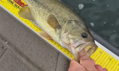 Prior Lake Видео отчет 1
