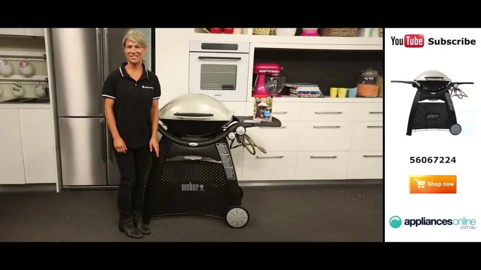 Weber 2025 family q3100