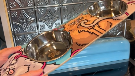 Funky Flies Cats with Attitude SkateBowls Stainless Steel Elevated Cat Bowls, 3-cup