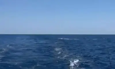 La Paz Report Video 0