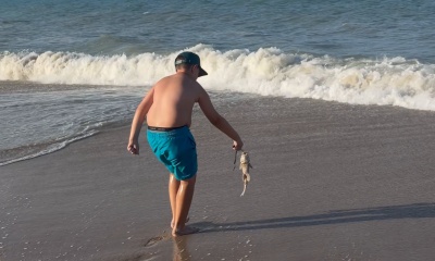 great day on the beach