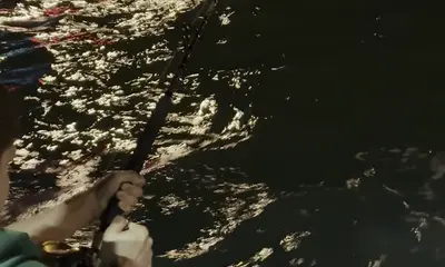 Shark fishing with Captain Alex