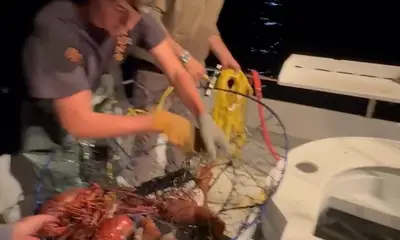 Los Angeles Report Video 0