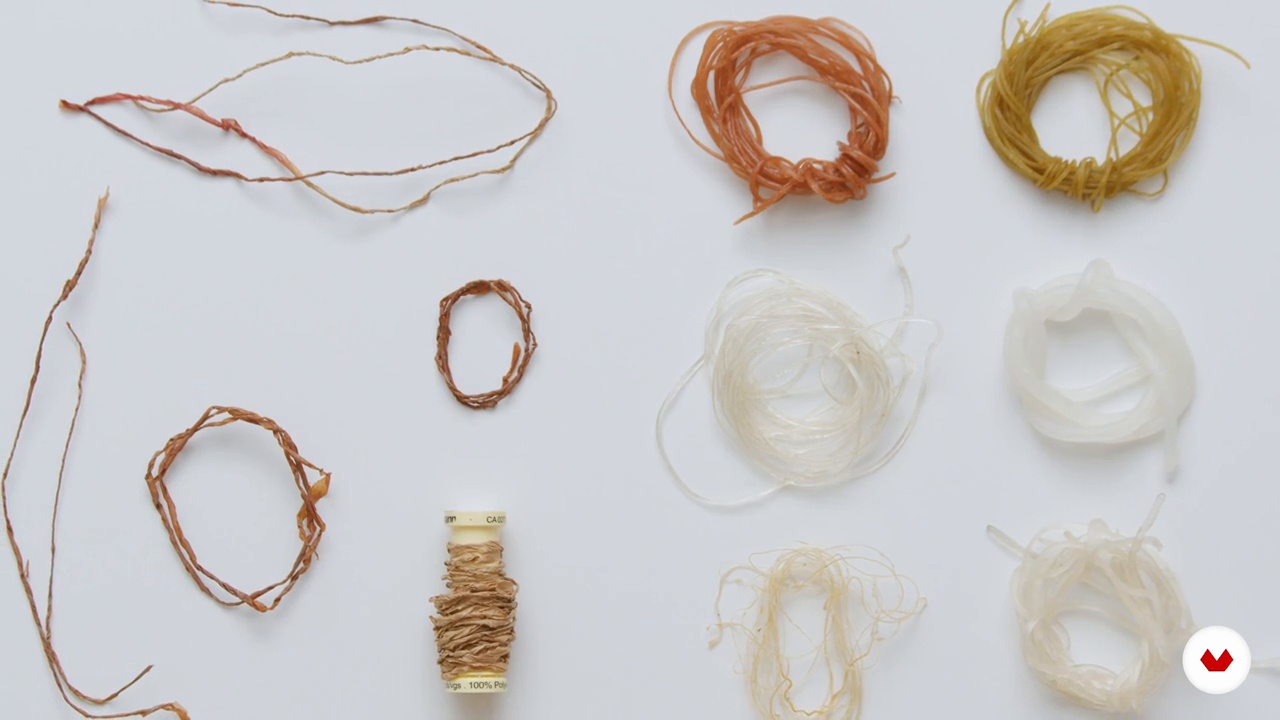 Experimentation and uses of kombucha threads