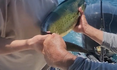 Nuevo Vallarta Report Video 0
