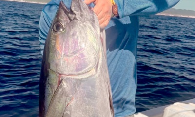 San Jose del Cabo Report Video 0