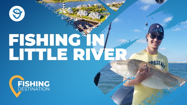 Fishing in LITTLE RIVER: The Complete Guide