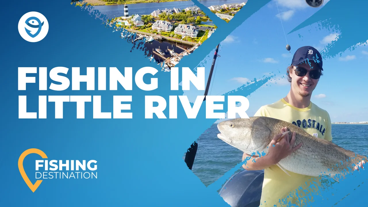 Fishing 101: A Beginner's Guide to Fishing in Myrtle Beach