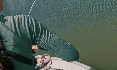 Malaysia Report Video 1