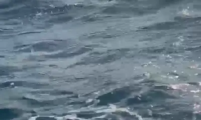 San Jose del Cabo Bericht Video 0