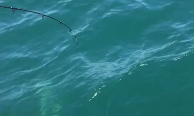 Melbourne Report Video 0