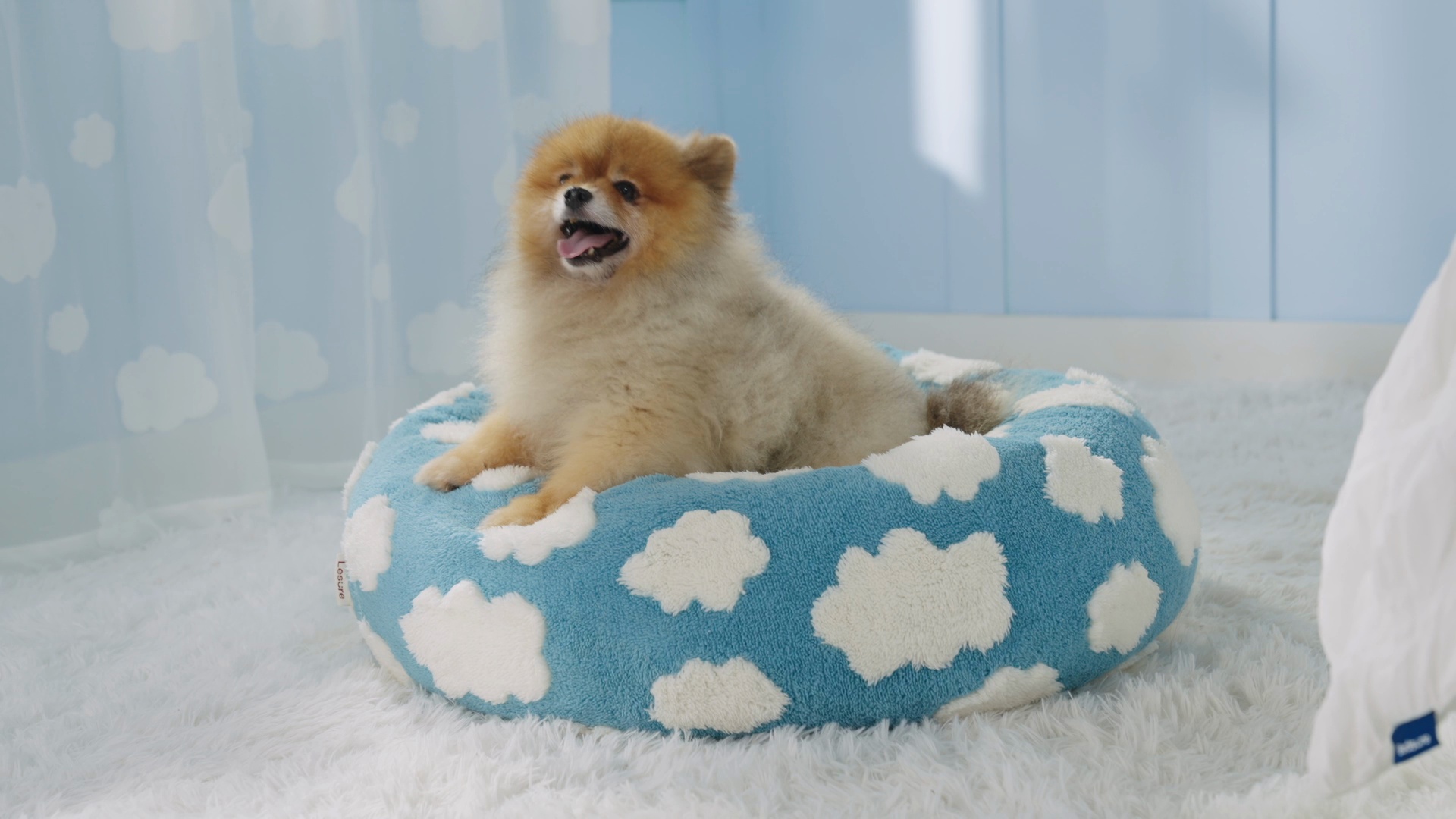 Patas Lague Donut Hundebett XL – 91,4 X 91,4 Cm, Aus Kunstfell & 3D-Faser | Waschbar, Für Große Hunde & Katzen