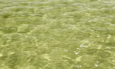 Barnstable Report Video 0
