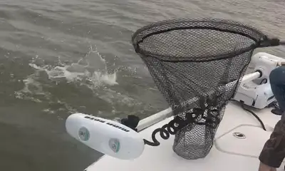Venice Report Video 0
