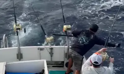 Haleiwa Report Video 0