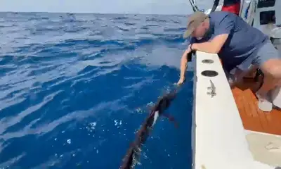 Costa Rica Video Report 2