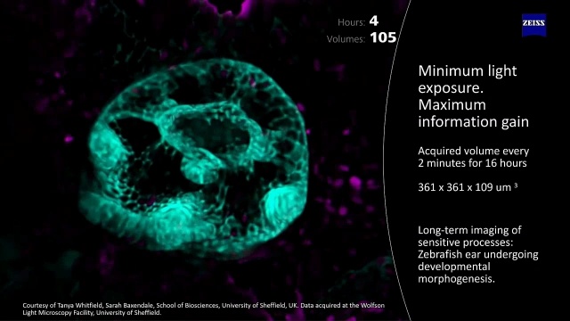 SfN 2025 Booth Talk: Kalliopi Arkoudi | LightField 4D