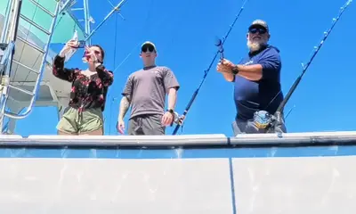 Humpback whales spring migration is stro