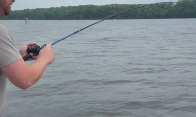 Mt. Juliet Report Video 1