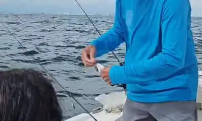850 and Captain Phillip delivered a trip of a lifetime