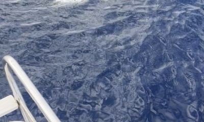 Great thuna fishing in croatia
