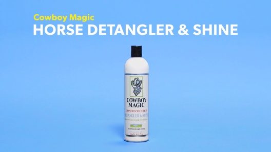 Cowboy Magic Detangler and Shine Review - Decidedly Equestrian