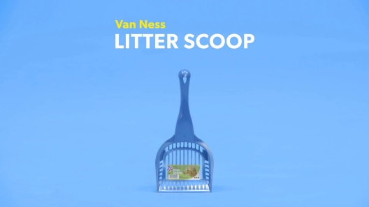 Play Video: Learn More About Van Ness From Our Team of Experts