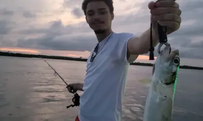 Port Orange Report Video 1