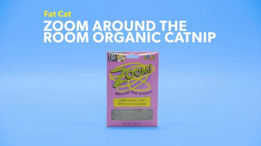 Play Video: Learn More About Fat Cat From Our Team of Experts
