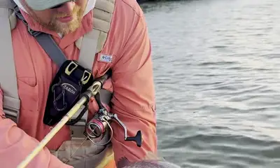 Palmetto Report Video 0