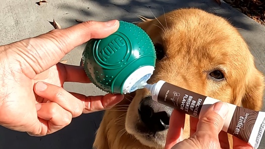 KONG Dental Ball Tough Squeaky Dog Treat Dispenser Toy, Green