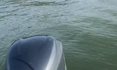 Herradura Report Video 0