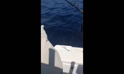 Herradura Report Video 0