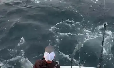 Point Pleasant Report Video 0