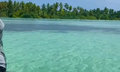 Malé Report Video 0