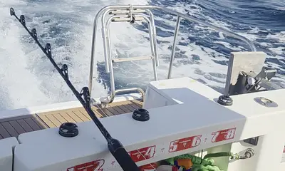 Faro Video Report 0
