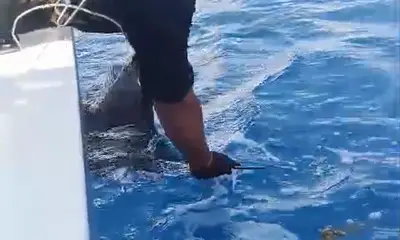 Playa Del Carmen Report Video 0