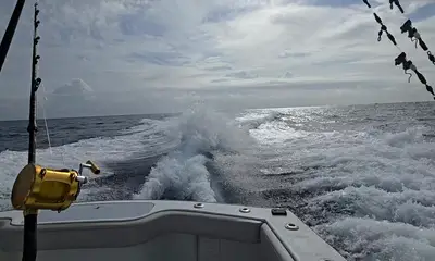 Captain Taco Delivers