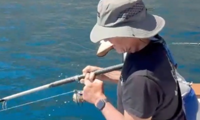 Captain Harry Rocks!