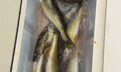 Twin Cities Report Video 2
