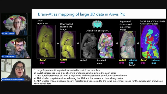 Webinar: Whole Brain TBI Mapping, Mehwish Anwer PhD