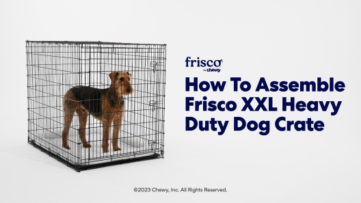 Play Video: Learn More About Frisco From Our Team of Experts