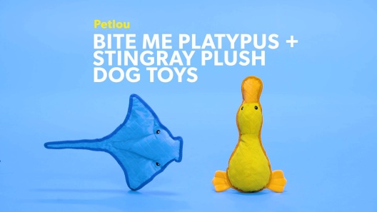 Play Video: Learn More About Petlou From Our Team of Experts
