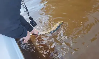 Virginia Beach Report Video 0