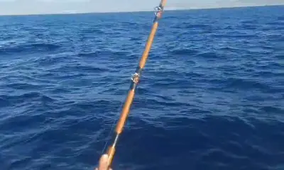 San Jose del Cabo Видео отчет 0