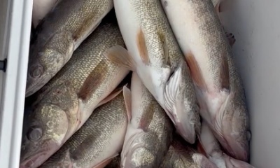 Oak Harbor Report Video 2