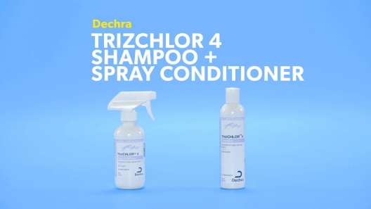 Play Video: Learn More About TrizCHLOR From Our Team of Experts