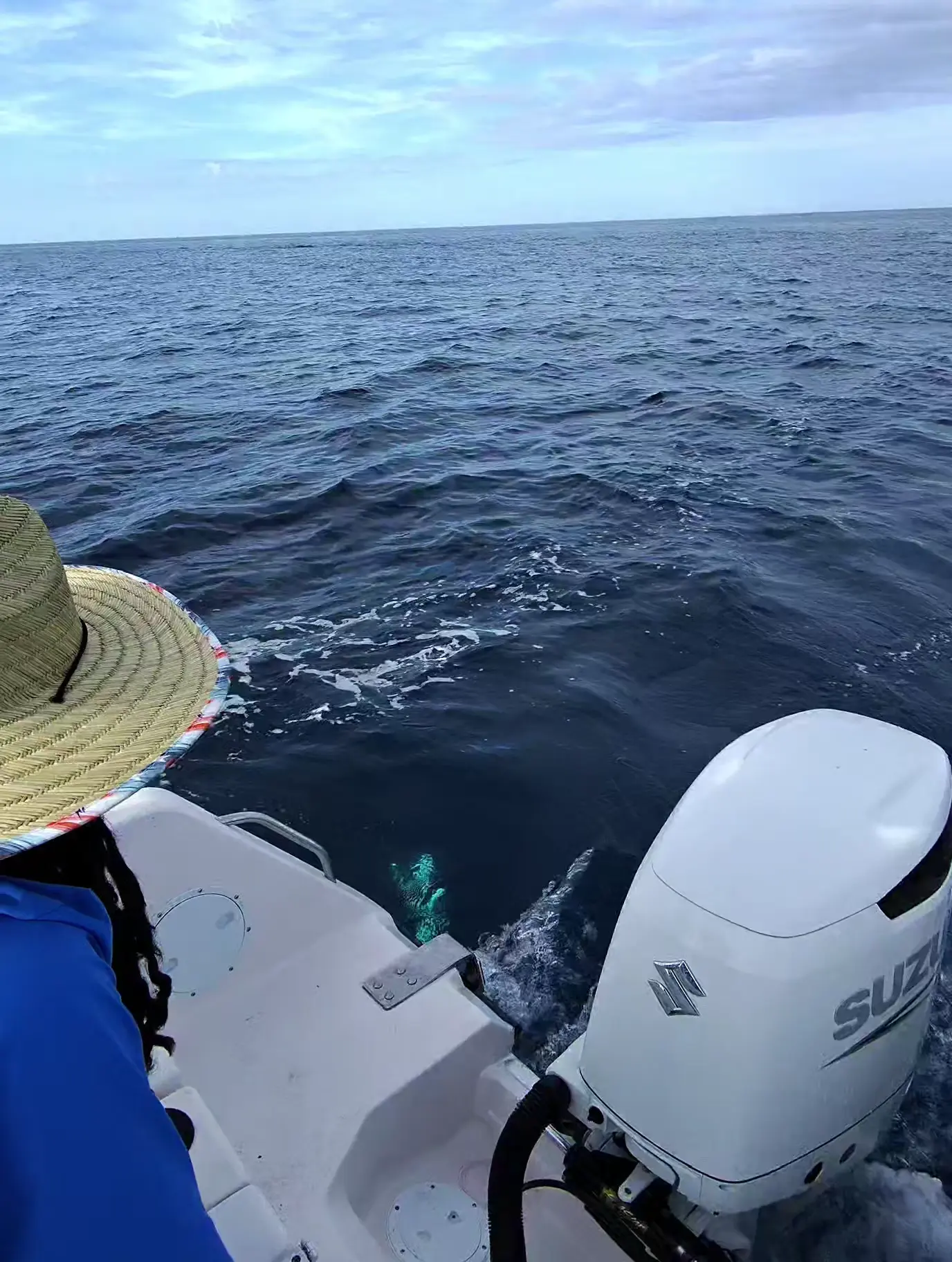 Business Card: Screwloose Fishing Charters