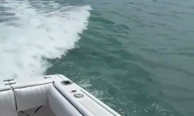 Great boat and Caprain.