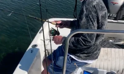 Sarasota Report Video 0